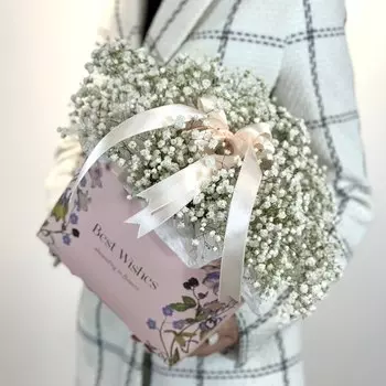 Воздушная Гипсофила