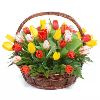 Впусти весну: Тюльпаны и зелень