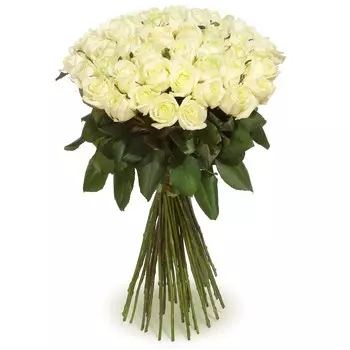 Высокие Белые Розы