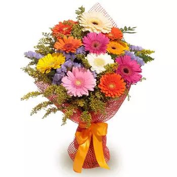 Взрыв эмоций: Герберы и статица