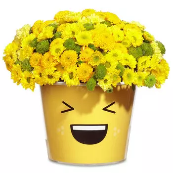 Яркий позитивчик: Хризантемы