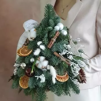 Заснеженная красавица