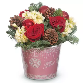 Зимнее великолепие