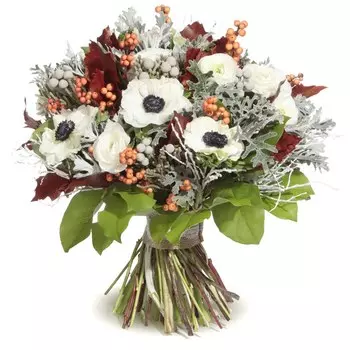 Зимняя прохлада