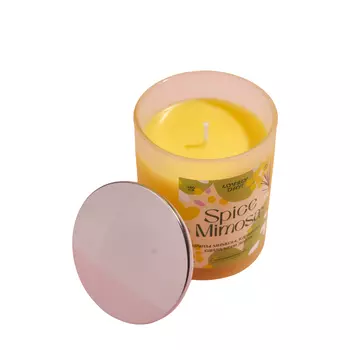 everydaylovelyday everydaylovelyday Свеча из соевого воска Spice Mimosa 180 мл