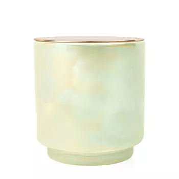 PADDYWAX PADDYWAX Свеча WHITE WOODS &amp; MINT в керамической баночке 480 гр