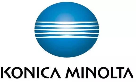 Девелопер DV-313K