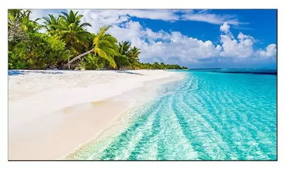 Дисплей для видеостен WY55B-2H 55''