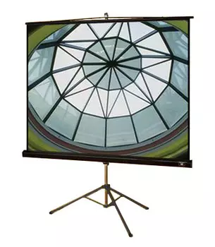 Проекционный экран_Diplomat NTSC (3:4) 244/96 152*203 MW