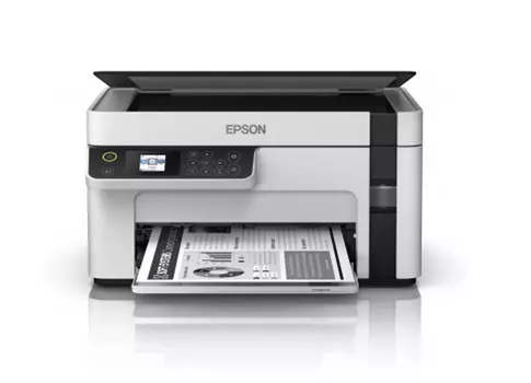 Epson M2110 (C11CJ19401)
