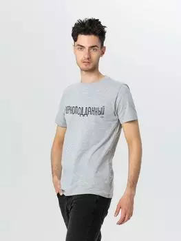 Футболка «Скверноподданный», серый меланж, размер L