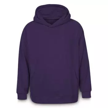 Худи флисовое унисекс Manakin, фиолетовое, размер XL/XXL