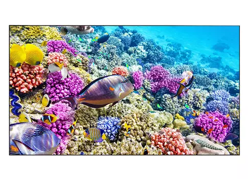 Информационная панель_EliteBoard BK557FFLE, для видеостен, 55 FHD, суммарная толщина рамок 0.88 мм