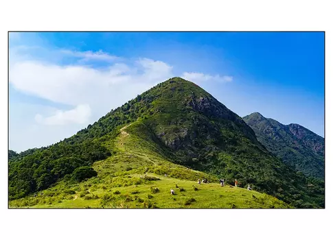 Информационная панель_EliteBoard PK555FCBN, для видеостен, 55 FHD, суммарная толщина рамок 3.5 мм