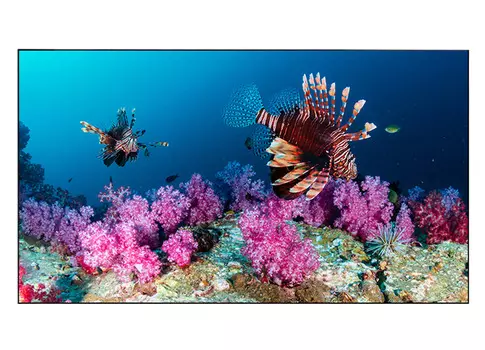 Информационная панель_EliteBoard PK555FCLN, для видеостен, 55 FHD, суммарная толщина рамок 3.5 мм