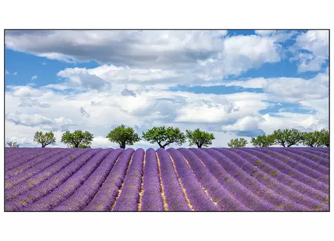 Информационная панель_EliteBoard PK555FDLN, для видеостен, 55 FHD, суммарная толщина рамок 1.8 мм