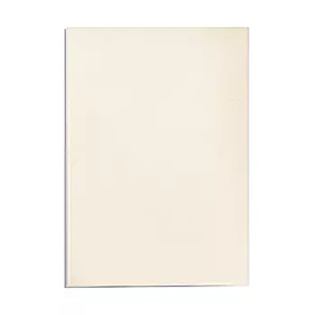 Обложка картонная Delta, Кожа, A3, 250 г/м2, Слоновая кость, 100 шт