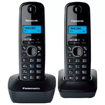 Panasonic KX-TG1612RUH