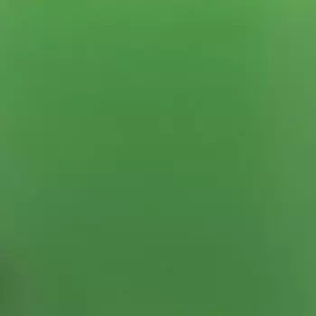 Пленка для термопереноса на ткань 70 светло-зеленая 425