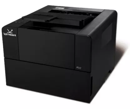 Принтер_Р247р (Российская сборка)