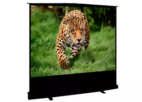 Проекционный экран_Cinema Standscreen MW 100 203x152 см