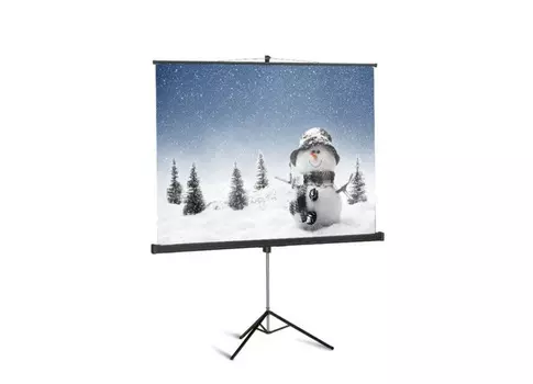 Проекционный экран_Classic Libra (1:1) 160x160 (T 160х160/1 MW-LS/S)