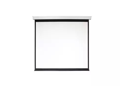 Проекционный экран_DSEF-4304 (120 (248x190 см, MW)