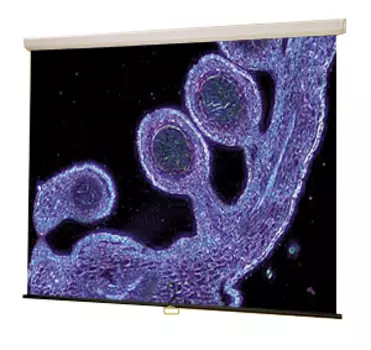 Проекционный экран_Luma NTSC (3:4) 213/84 (7) 127*169 MW