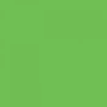 Термотрансферная пленка для плоттерной резки Hotmark Revolution 355 Apple Green