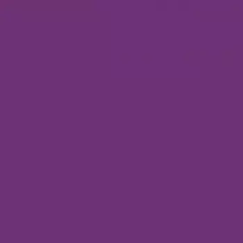 Термотрансферная пленка для плоттерной резки Hotmark Revolution 359 Plum