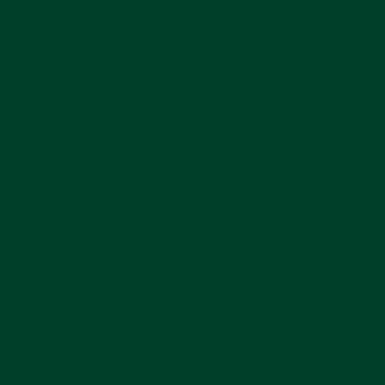 Транслюцентная плоттерная пленка_Oracal 8500 F060 Dark Green 1.00x50 м