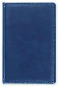 Визитница «Сиам» на 96 визиток, 115x195мм, кожзам