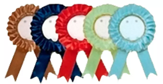 Заготовки для розеты Talent d85 мм, белая, 100 шт