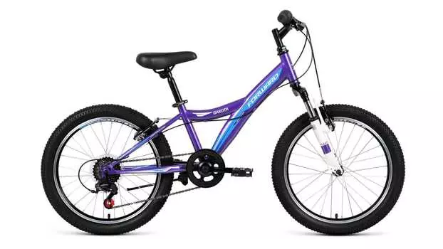 DAKOTA 20 2.0 (рост 10.5") 2018-2019, фиолетовый/синий, RBKW91N06005