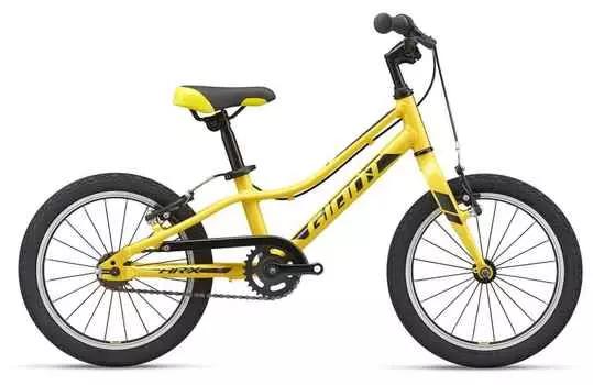 Детский велосипед GIANT ARX 16 F/W (2021)