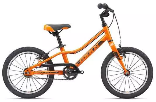 Детский велосипед GIANT ARX 16 F/W (2021)