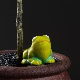 Автополив для комнатных растений Лягушонок