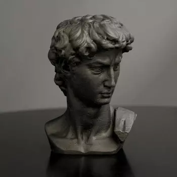 Гипсовая фигура "Голова Давида" 8 х 12,5, черная