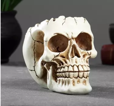 Кашпо голова подставка под мелочи "Череп" 14х10х11см