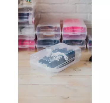 Короб для хранения обуви 32х19х10,5 см "Реноме"