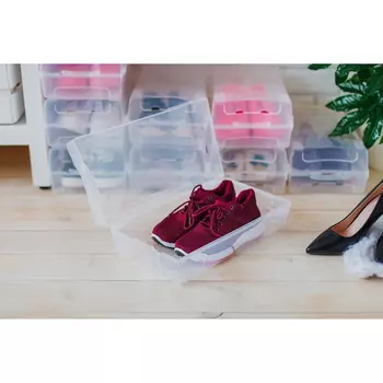 Короб для хранения обуви 38х20,5х13 см "Реноме"