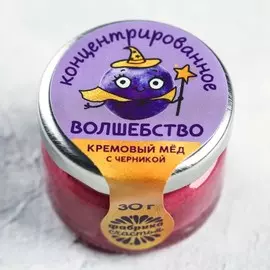 Крем-мёд «Концентрированное волшебство», с черникой, 30 г