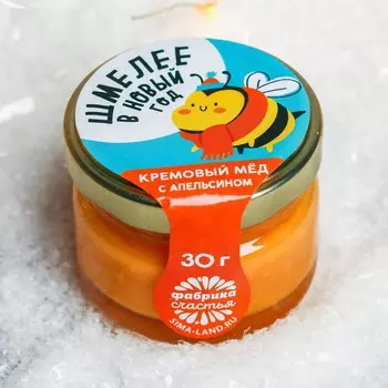 Кремовый мёд «Шмелее в Новый год», в банке, со вкусом апельсина, 30 г