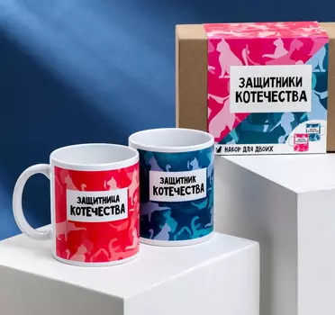 Кружки для двоих «Защитники котечества», 2 шт., 350 мл