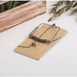 Мышеловка, 10,5 7,5 см, деревянная