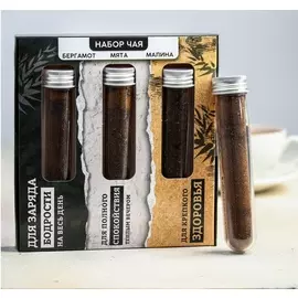 Набор чая мужчине в колбах «Для заряда», бергамот, мята, малина, 126 г (42 г * 3 шт.)
