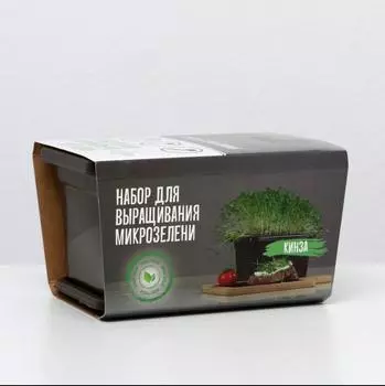 Набор для выращивания микрозелени - Кинза