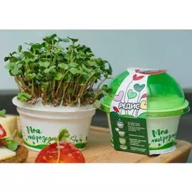 Набор для выращивания микрозелени Редис