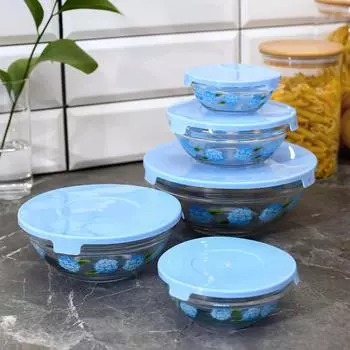 Набор стеклянных салатников с крышками 5 шт Голубой с незабудками