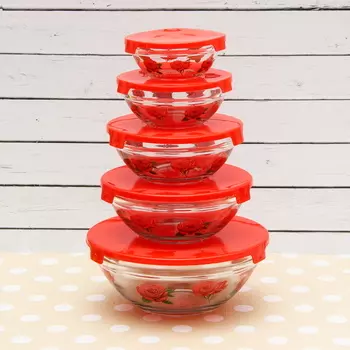Набор стеклянных салатников с крышками 5 шт Красный с розами